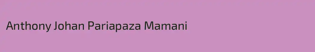 Anthony Johan Pariapaza Mamani